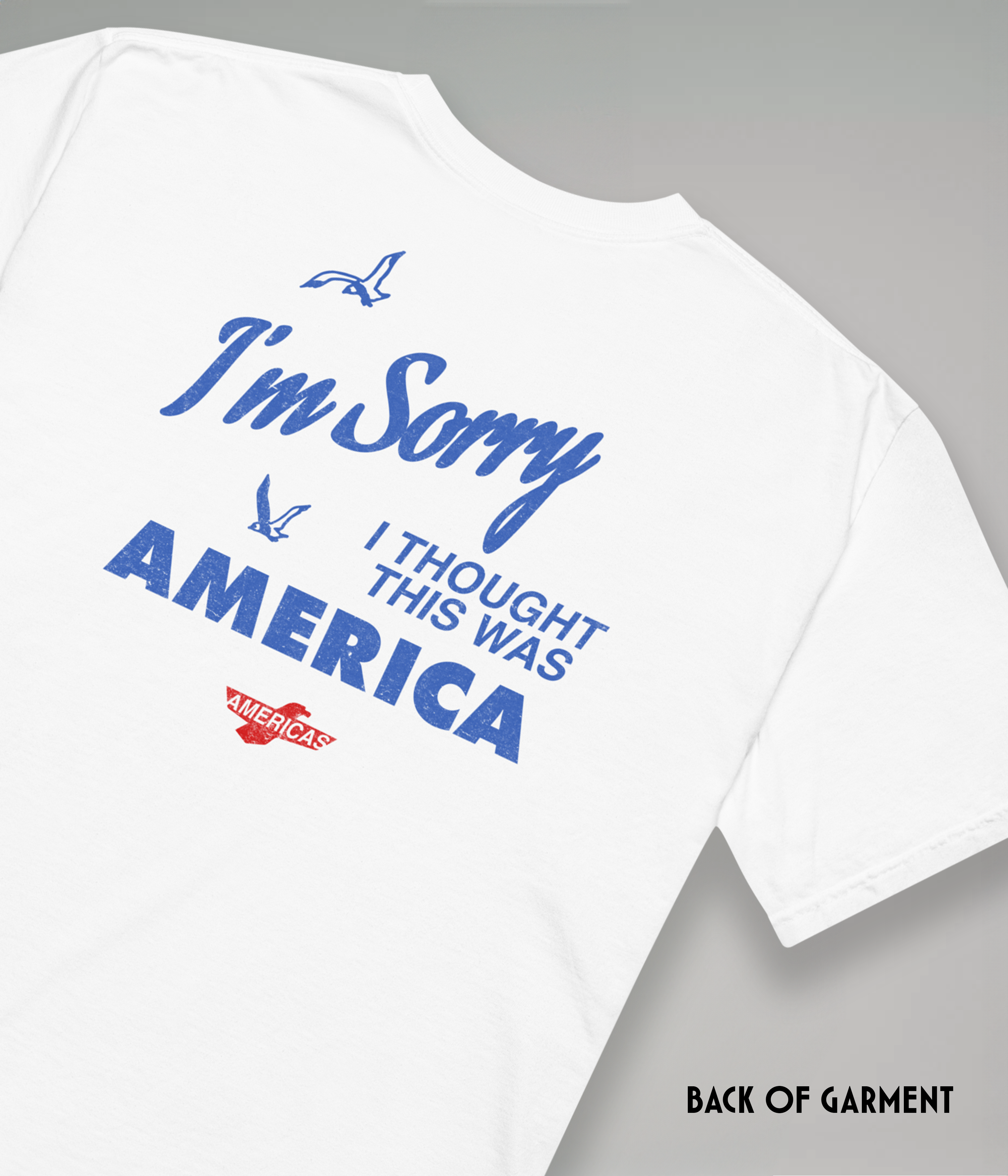 I'm Sorry, I Thought This Was America Tee